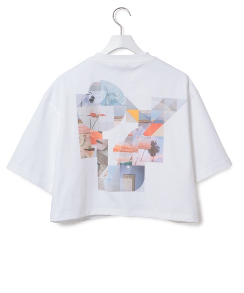 PHEENY プリントクルーネックカットソー pheeny プリントクルーネックtops シアートップス