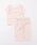 SKAPEiGXP[vj́uޮݿ߼ެρi[EFA/pW}jvbsN