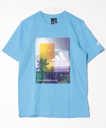 アディダス adidas M PALM TREE Tシャツ
