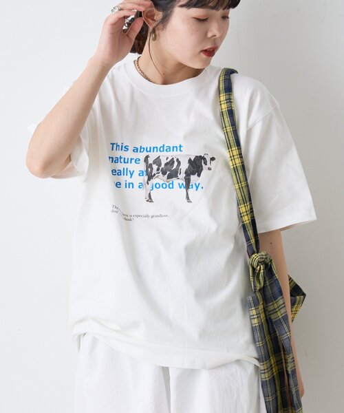 CIAOPANIC TYPY（チャオパニックティピー）の「【UNISEX】牛グラフィックTEE（Tシャツ/カットソー・レディース・ホワイト/ボルドー/ブルー・MEDIUM/LARGE）」の16枚目の写真