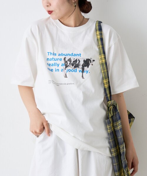 CIAOPANIC TYPY（チャオパニックティピー）の「【UNISEX】牛グラフィックTEE（Tシャツ/カットソー・レディース・ホワイト/ボルドー/ブルー・MEDIUM/LARGE）」の17枚目の写真