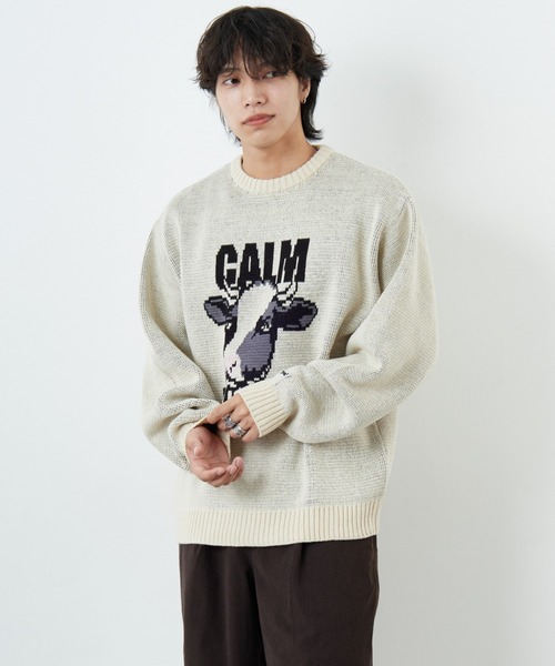 TOWN CRAFT/タウンクラフト・THE FOX/ザフォックス] 別注 アニマル柄