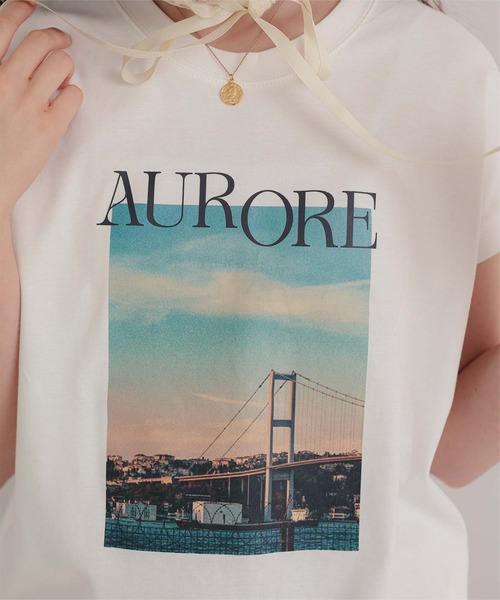 titivate(ティティベイト)の「汗染み防止フォトプリントフレンチスリーブトップス(Tシャツ/カットソー・レディース・ホワイト系その他/ホワイト/グレイッシュベージュ/チャコール/グレー・FREE)」の9枚目の写真