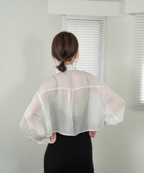 Amiur（エミレ）の「sheer cropped shirt（シャツ/ブラウス・レディース・グレイッシュベージュ/ホワイト/ブラック/ピンク・FREE）」の2枚目の写真