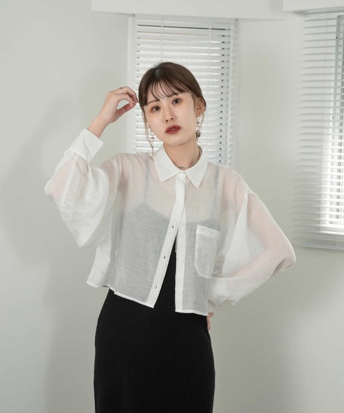 Amiur（エミレ）の「sheer cropped shirt（シャツ/ブラウス・レディース・グレイッシュベージュ/ホワイト/ブラック/ピンク・FREE）」の18枚目の写真