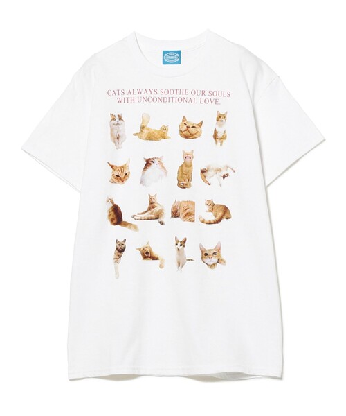 mmts（マミタス）の「〈UNISEX〉mmts / NEKOTOMO 茶トラTシャツ