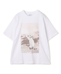 THE INTERNATIONAL IMAGES | THE INTERNATIONAL IMAGES COLLECITON コットン Tシャツ(Tシャツ/カットソー)