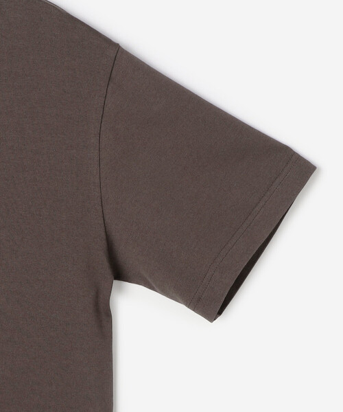 tシャツ SCYE BASICS | 「別注」コットン 半袖Tシャツ WOMEN レディース SCYE BASICS（サイベーシックス）の「SCYE BASICS | 〈別注