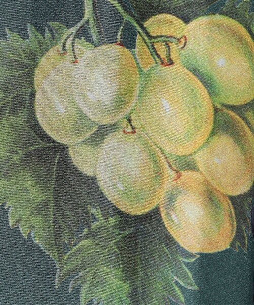 caban（キャバン）の「シルク HARVEST ロングスカート（スカート・レディース・ホワイト系その他/ブラック系その他/ダークパープル/ブルー系その他2/グリーン系その他・XS/S）」の17枚目の写真