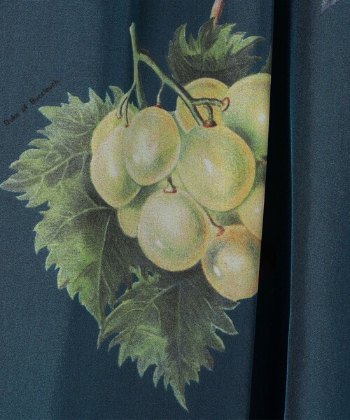 caban（キャバン）の「シルク HARVEST ロングスカート（スカート