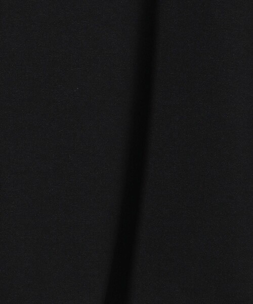 THE NORTH FACE(ザノースフェイス)の「<THE NORTH FACE> ショートスリーブ バンダナ スクエアロゴ Tシャツ(Tシャツ/カットソー・メンズ・ブラック/ホワイト/ネイビー・XL/L/M)」の22枚目の写真