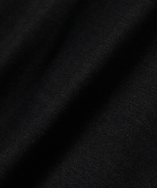 Demi-Luxe BEAMS（デミルクス ビームス）の「【別注】COG THE BIGSMOKE / KENNA ハイネック フレンチスリーブ トップス［手洗い可］（Tシャツ/カットソー・レディース・ブラック/ブラウン・ONE SIZE）」の15枚目の写真