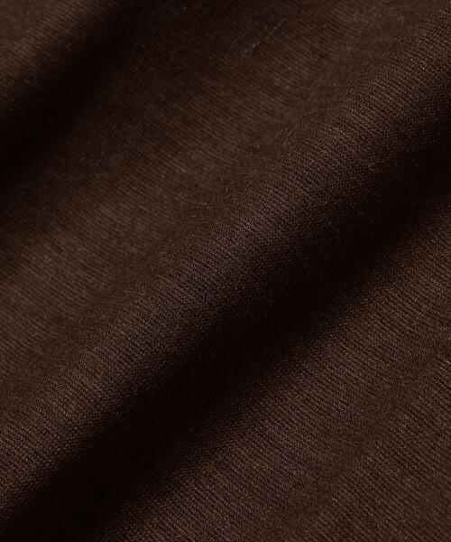 Demi-Luxe BEAMS（デミルクス ビームス）の「【別注】COG THE BIGSMOKE / KENNA ハイネック フレンチスリーブ トップス［手洗い可］（Tシャツ/カットソー・レディース・ブラック/ブラウン・ONE SIZE）」の21枚目の写真