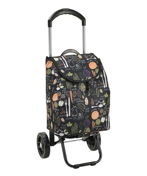 BACKYARD FAMILY(バックヤードファミリー)の「VALENTINO VISCANI ヴァレンチノ ヴィスカーニ 保冷ショピングカート(クラッチバッグ・レディース・ブラック×グレー/アイボリー/ブラック×レッド/ブラック系その他2/ブラック×ブラック/ブラック系その他/パープル・FREE)」の10枚目の写真