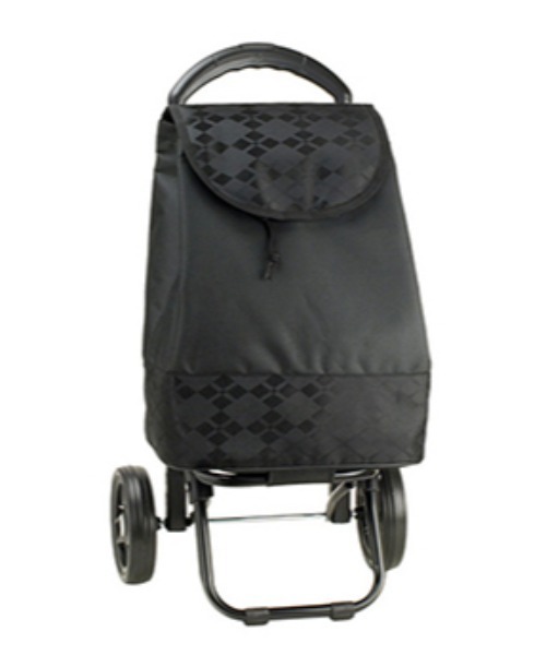 BACKYARD FAMILY(バックヤードファミリー)の「VALENTINO VISCANI ヴァレンチノ ヴィスカーニ 保冷ショピングカート(クラッチバッグ・レディース・ブラック×グレー/アイボリー/ブラック×レッド/ブラック系その他2/ブラック×ブラック/ブラック系その他/パープル・FREE)」の14枚目の写真