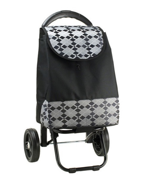 BACKYARD FAMILY(バックヤードファミリー)の「VALENTINO VISCANI ヴァレンチノ ヴィスカーニ 保冷ショピングカート(クラッチバッグ・レディース・ブラック×グレー/アイボリー/ブラック×レッド/ブラック系その他2/ブラック×ブラック/ブラック系その他/パープル・FREE)」の16枚目の写真