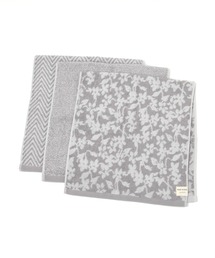 studio CLIP | 柔らかパイルフェイスタオル3枚セット(タオル)