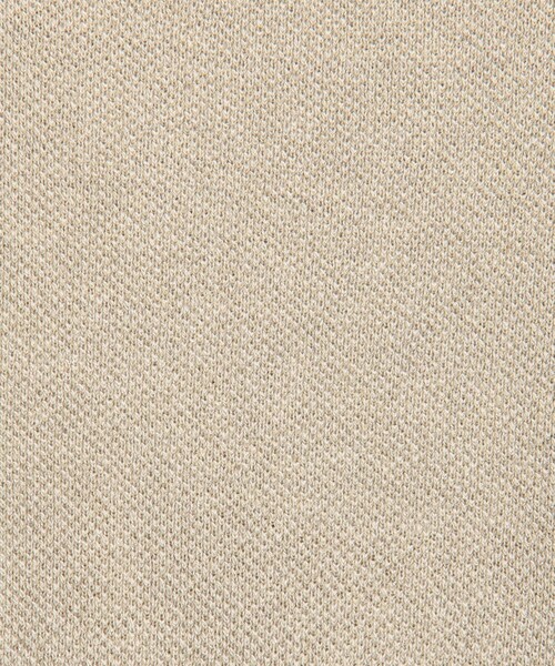 GALERIE VIE（ギャルリー ヴィー）の「【WEB先行予約】ドライカノコ クルーネックプルオーバー（ニット/セーター・レディース・ライトブルー/ベージュ/ライトグレー・FREE）」の11枚目の写真