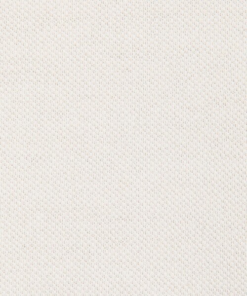 GALERIE VIE（ギャルリー ヴィー）の「【WEB先行予約】ドライカノコ クルーネックプルオーバー（ニット/セーター・レディース・ライトブルー/ベージュ/ライトグレー・FREE）」の12枚目の写真