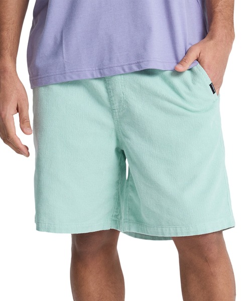 Quiksilver(クイックシルバー)の「QUIKSILVER/クイックシルバー メンズ ハーフパンツ TAXER CORD WS EQYWS03878(その他パンツ・メンズ・ライトグリーン/ブラウン/アイボリー/ベージュ/ネイビー/ライトブルー・S/M)」の6枚目の写真