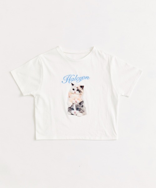 OLIVE des OLIVE(オリーブデオリーブ)の「アニマルアソートTシャツ(Tシャツ/カットソー・レディース・ラベンダー/ネイビー/オフホワイト/サックスブルー・FREE)」の20枚目の写真