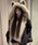 ViViDAYirrf[j́uӂӂLt[ht[YWbvu]iu]jvbubNn̑