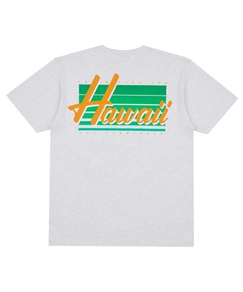 CREAM SODA LAB（クリームソーダラボ）の「ハワイバックプリント半袖Tシャツライトグレー（Tシャツ/カットソー・メンズ・その他・LARGE/MEDIUM/X-LARGE/XX-LARGE）」の13枚目の写真