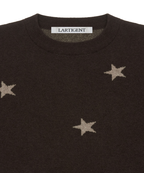 LARTIGENT(ラーティゼン)の「L19 STAR KNIT(BROWN)(ニット/セーター・レディース・その他・FREE)」の3枚目の写真