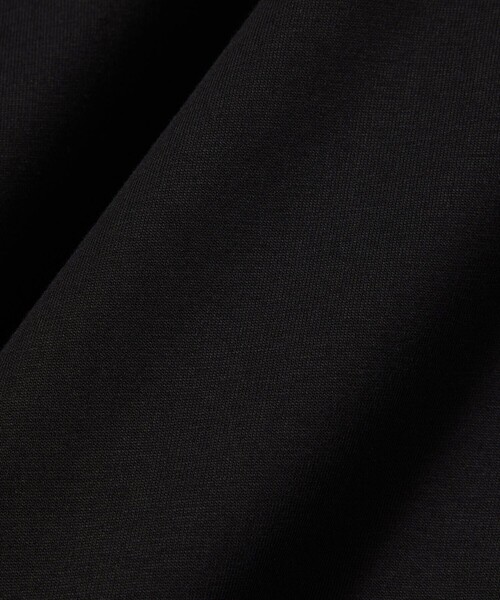 LACOSTE(ラコステ)の「ネーム&ワニロゴパッチ エッセンシャルTシャツ(Tシャツ/カットソー・レディース・グリーン/ブラック・34/38/36/40)」の7枚目の写真