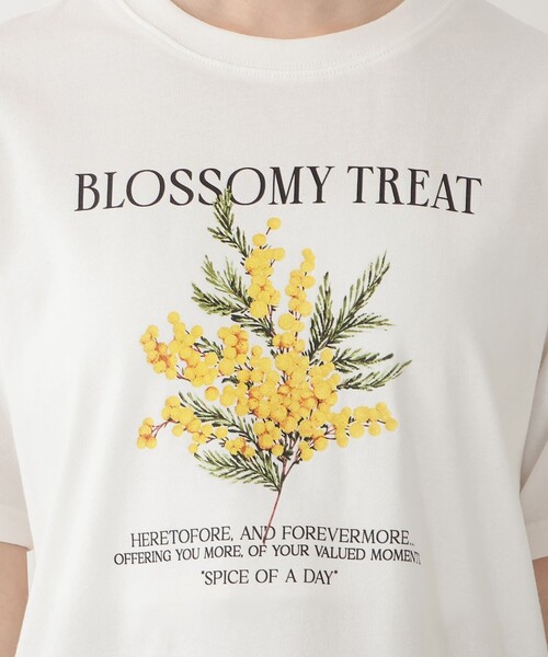 Afternoon Tea(アフタヌーンティー)の「フラワープリントTシャツ/ミモザ(Tシャツ/カットソー・レディース・ネイビー/オフホワイト・MEDIUM)」の5枚目の写真