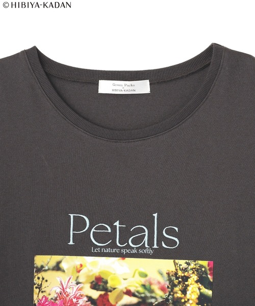 Green Parks(グリーンパークス)の「日比谷花壇コラボカラーTEE(Tシャツ/カットソー・レディース・オフホワイト/チャコールグレー・FREE)」の19枚目の写真