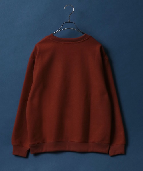 ANPAS(アンパス)の「Tech Wool Sweatshirt/テックウール トレーナー(スウェット・メンズ・グレイッシュベージュ/ブルー/グリーン/ネイビー/サンドベージュ/テラコッタ・M/L/LL)」の15枚目の写真