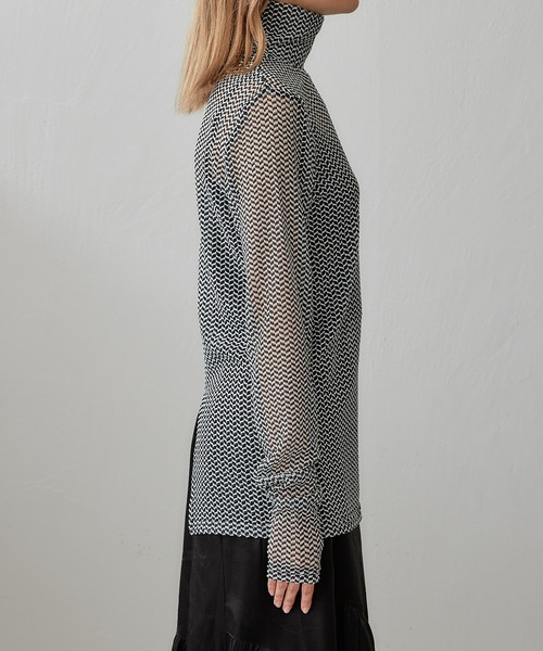 Lui's(ルイス)の「【23SS】バイカラーメッシュハイネックトップス(Tシャツ/カットソー・レディース・ホワイト/ブラウン・FREE)」の18枚目の写真