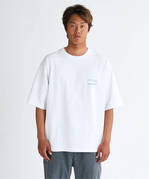BLAMINK - DAWNPARK シルバープリーツ 半袖 Tシャツ シルバー クロップド丈 Quiksilver（クイックシルバー）の「GRADIENT BOX ST /クイック