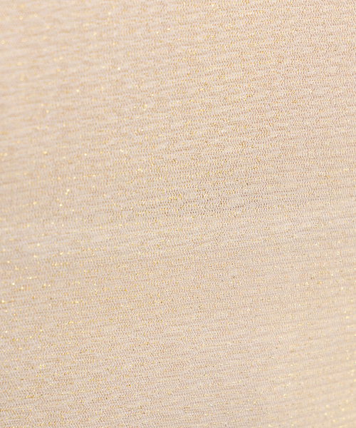 NARACAMICIE（ナラカミーチェ）の「【NARACAMICIE】ラメチュールタートルプルオーバー（Tシャツ/カットソー・レディース・ブラウン/ブラック・M/XL）」の13枚目の写真