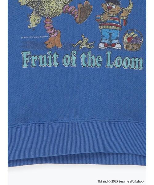 Samansa Mos2 Lagom（サマンサモスモスラーゴム）の「【FRUIT OF THE LOOM】ビッグバード トレーナー（Tシャツ/カットソー・キッズ・ブルー/キナリ・100/110/120/95/130）」の6枚目の写真
