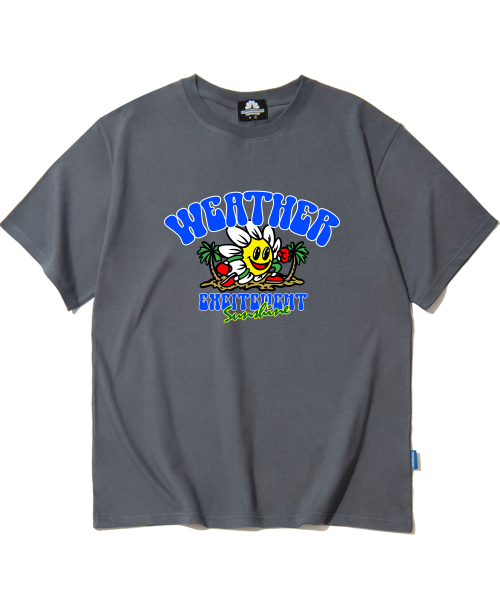 TRIPSHION(トリップション)の「デイジーウェザー グラフィックTシャツ - グレー(Tシャツ/カットソー・メンズ・その他・LARGE/MEDIUM/X-LARGE)」の1枚目の写真
