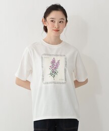 セール】フラワープリントTシャツ/デイジー（Tシャツ/カットソー