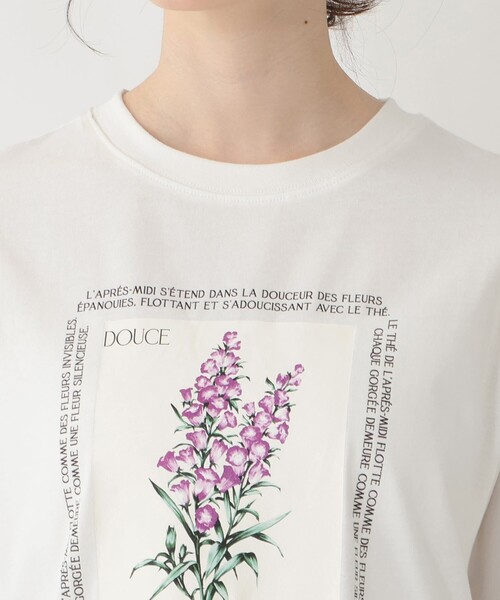 Afternoon Tea(アフタヌーンティー)の「フラワープリントTシャツ/カンパニュラ(Tシャツ/カットソー・レディース・オフホワイト/チャコールグレー・MEDIUM)」の6枚目の写真