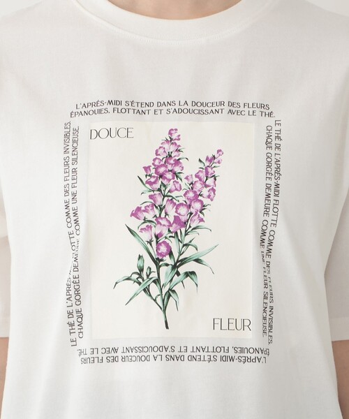 Afternoon Tea(アフタヌーンティー)の「フラワープリントTシャツ/カンパニュラ(Tシャツ/カットソー・レディース・オフホワイト/チャコールグレー・MEDIUM)」の7枚目の写真