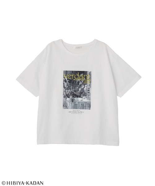 Green Parks(グリーンパークス)の「日比谷花壇コラボモノクロTEE(Tシャツ/カットソー・レディース・オフホワイト/サックスブルー・FREE)」の22枚目の写真