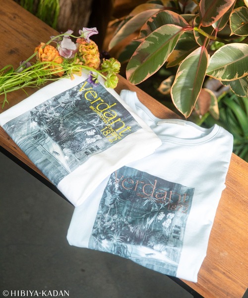 Green Parks(グリーンパークス)の「日比谷花壇コラボモノクロTEE(Tシャツ/カットソー・レディース・オフホワイト/サックスブルー・FREE)」の3枚目の写真