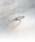 4���i�����h�V�[�j�́u�G�^�[�i���V���o�[ �E�F�[�u �����O�i�����O�j�v�b�V���o�[�n���̑�