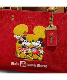 Disney（ディズニー）の「【DISNEY x COACH】ローグ 25 ウィズ