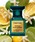 TOM FORD BEAUTY�i�g���t�H�[�h�r���[�e�B�[�j�́u�l�����E�|���g�t�B�[�m �I�[�h �p���t�@�� �X�v���B 30mL�i�����j�v�b���̑�