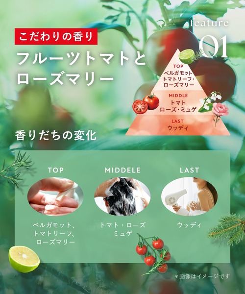 BOTANIST ボタニスト 2025年夏限定 フルーツトマト ローズマリー