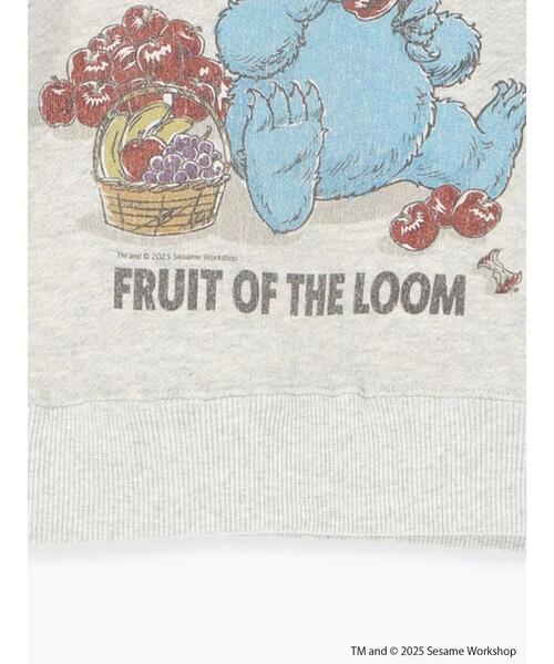 Samansa Mos2 Lagom（サマンサモスモスラーゴム）の「【FRUIT OF THE LOOM】 クッキーモンスター トレーナー（Tシャツ/カットソー・キッズ・トップグレー/ブラウン・100/110/120/95/130）」の6枚目の写真