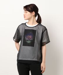 earth music&ecology | 『ディズニー ツイステッドワンダーランド』earth シアーTシャツセット ＊(Tシャツ/カットソー)
