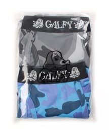 GALFY(KtB[)́yGALFY/KtB[zJ{NT[pc 2Zbg({NT[pc)