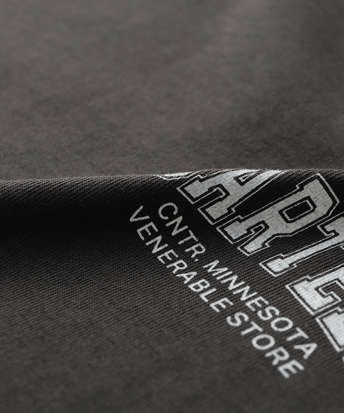 JOURNAL STANDARD relume(ジャーナルスタンダード レリューム)の「フレンチスリーブロゴTシャツ(Tシャツ/カットソー・レディース・ホワイト/チャコールグレー・FREE)」の13枚目の写真